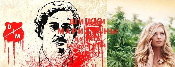 мдпв Зеленокумск