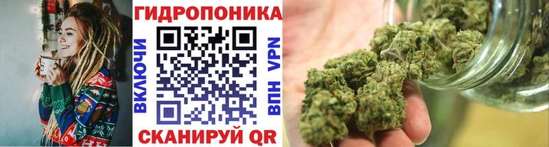 Купить где  Ленинск-Кузнецкий  Марихуана план 